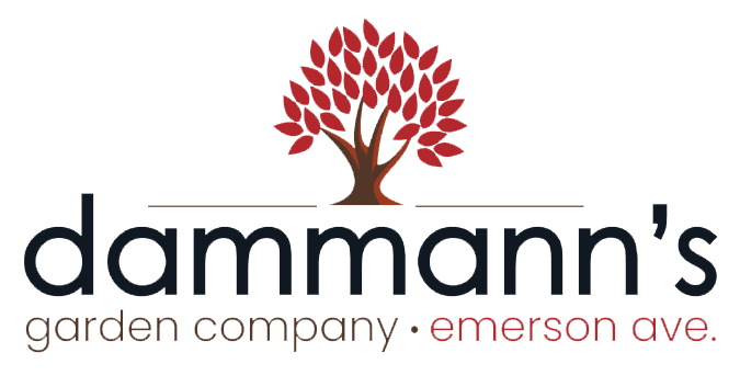 Dammann's
